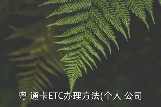 粵 通卡ETC辦理方法(個人 公司