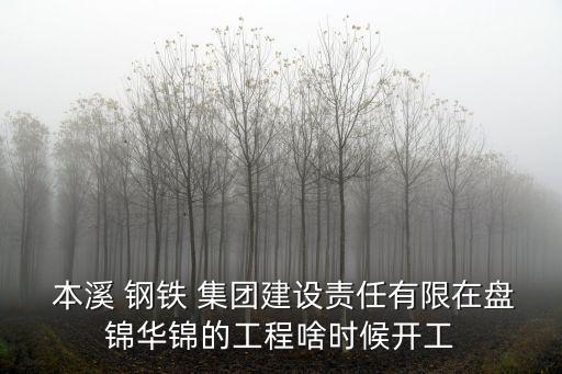  本溪 鋼鐵 集團建設(shè)責(zé)任有限在盤錦華錦的工程啥時候開工