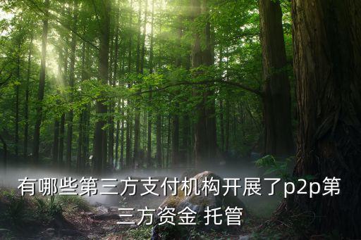 有哪些第三方支付機構(gòu)開展了p2p第三方資金 托管