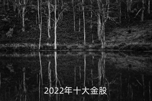 2022年十大金股