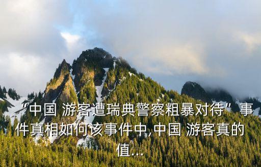 “中國 游客遭瑞典警察粗暴對待”事件真相如何該事件中,中國 游客真的值...