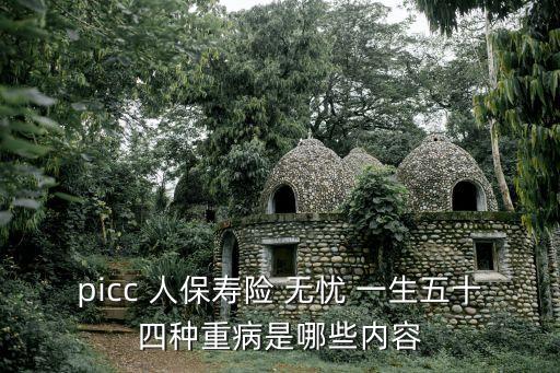 picc 人保壽險(xiǎn) 無(wú)憂 一生五十四種重病是哪些內(nèi)容