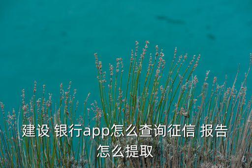 建設(shè) 銀行app怎么查詢征信 報(bào)告怎么提取