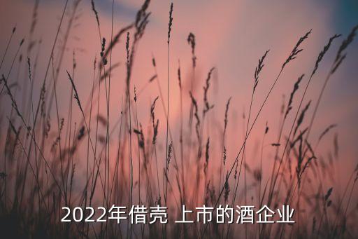 2022年借殼 上市的酒企業(yè)