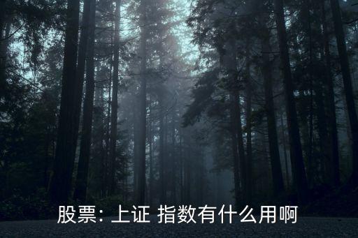 股票: 上證 指數(shù)有什么用啊