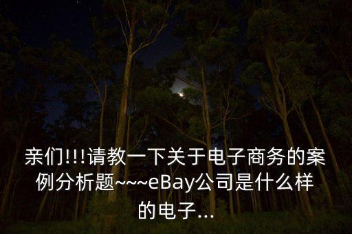 親們!!!請教一下關(guān)于電子商務(wù)的案例分析題~~~eBay公司是什么樣的電子...