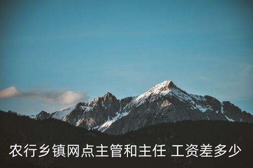 農(nóng)行鄉(xiāng)鎮(zhèn)網(wǎng)點(diǎn)主管和主任 工資差多少