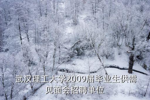  武漢理工大學(xué)2009屆畢業(yè)生供需見面會招聘單位