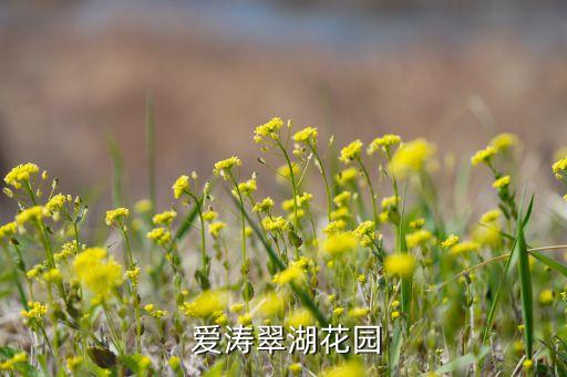  愛濤翠湖花園