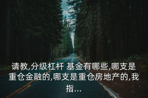 請(qǐng)教,分級(jí)杠桿 基金有哪些,哪支是重倉(cāng)金融的,哪支是重倉(cāng)房地產(chǎn)的,我指...