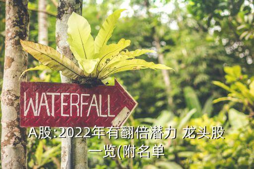 A股:2022年有翻倍潛力 龍頭股一覽(附名單