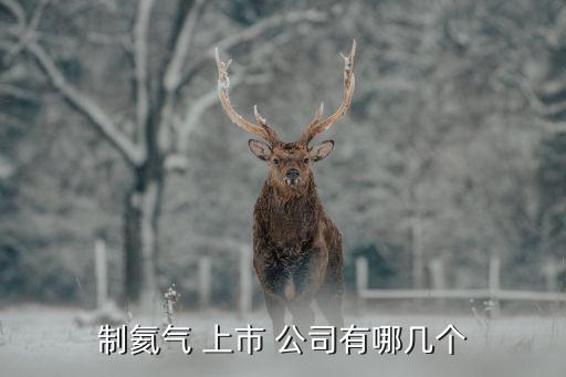 制氦氣 上市 公司有哪幾個