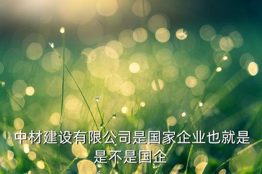 中國(guó)中材水泥社備有新項(xiàng)目嗎