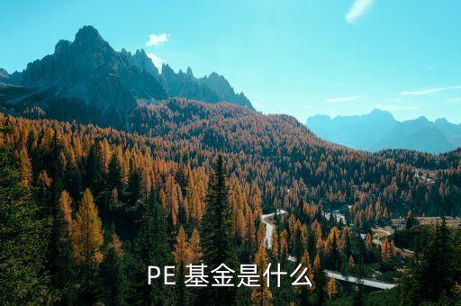 PE 基金是什么