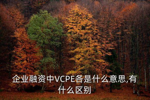 企業(yè)融資中VCPE各是什么意思,有什么區(qū)別