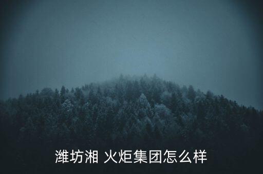 濰坊湘 火炬集團(tuán)怎么樣