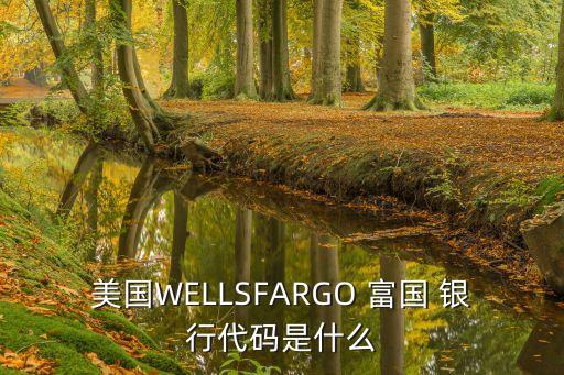 美國WELLSFARGO 富國 銀行代碼是什么