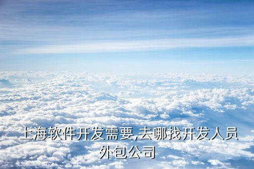  上海軟件開發(fā)需要,去哪找開發(fā)人員外包公司