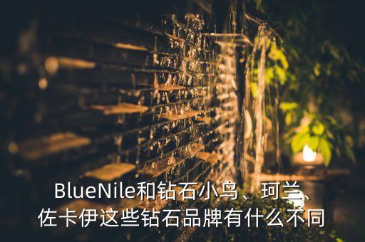 BlueNile和鉆石小鳥、珂蘭、佐卡伊這些鉆石品牌有什么不同