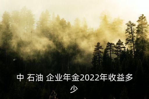 中 石油 企業(yè)年金2022年收益多少