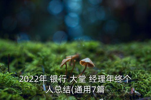 2022年 銀行 大堂 經(jīng)理年終個人總結(jié)(通用7篇