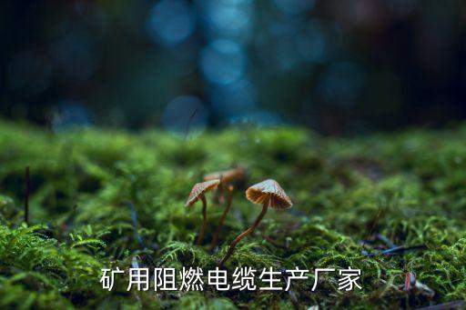 礦用阻燃電纜生產(chǎn)廠家