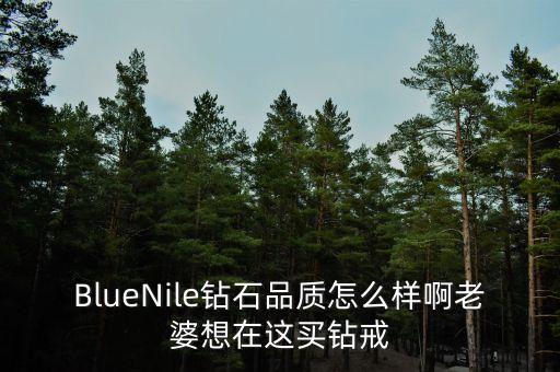 BlueNile鉆石品質(zhì)怎么樣啊老婆想在這買鉆戒