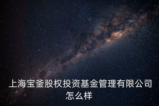 上海寶權,上海通關寶下載