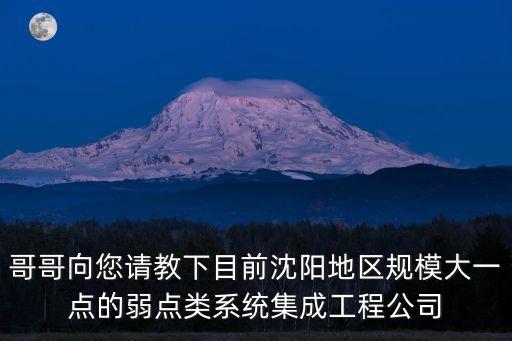 哥哥向您請教下目前沈陽地區(qū)規(guī)模大一點的弱點類系統(tǒng)集成工程公司