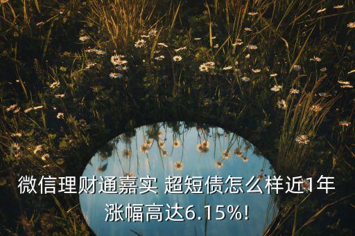 微信理財通嘉實 超短債怎么樣近1年漲幅高達6.15%!