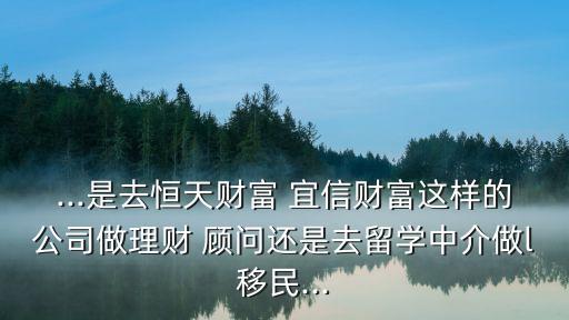 ...是去恒天財(cái)富 宜信財(cái)富這樣的公司做理財(cái) 顧問還是去留學(xué)中介做l移民...