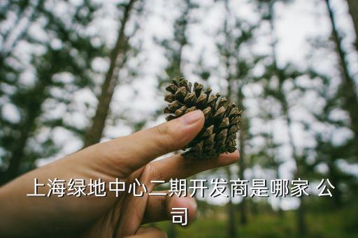  上海綠地中心二期開發(fā)商是哪家 公司