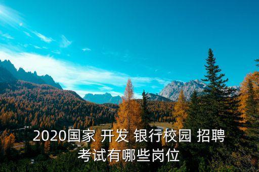 2020國家 開發(fā) 銀行校園 招聘考試有哪些崗位