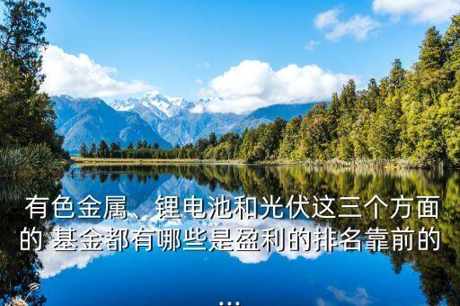  有色金屬、鋰電池和光伏這三個方面的 基金都有哪些是盈利的排名靠前的...