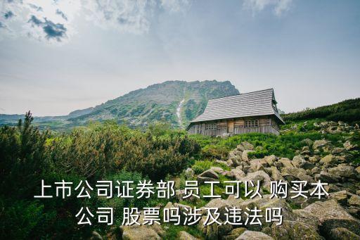  上市公司證券部 員工可以 購(gòu)買本公司 股票嗎涉及違法嗎