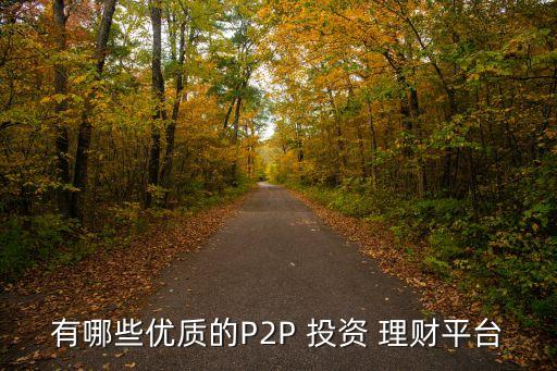 有哪些優(yōu)質(zhì)的P2P 投資 理財平臺