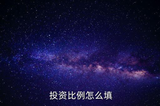  投資比例怎么填