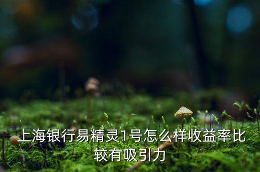  上海銀行易精靈1號怎么樣收益率比較有吸引力