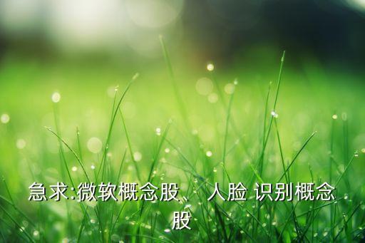 急求:微軟概念股、 人臉 識別概念股