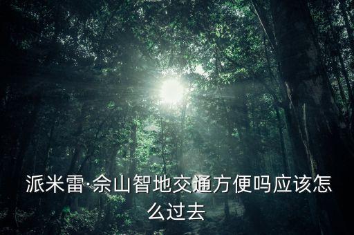  派米雷·佘山智地交通方便嗎應(yīng)該怎么過去