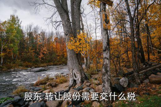 股東 轉(zhuǎn)讓股份需要交什么稅