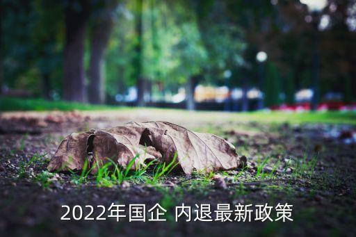 2022年國企 內(nèi)退最新政策