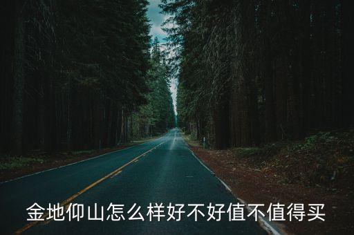 金地仰山怎么樣好不好值不值得買