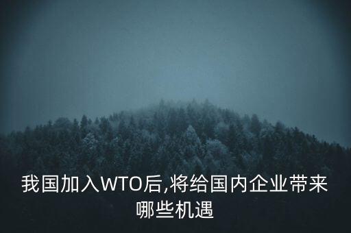 wto與中國承諾金融,中國加入wTO承諾