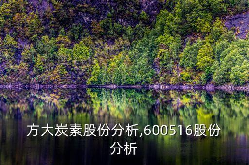 方大炭素股份分析,600516股份分析