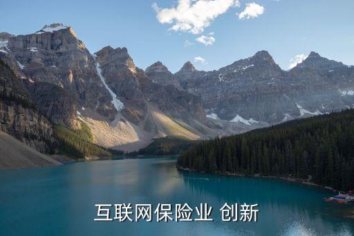 互聯(lián)網(wǎng)保險業(yè) 創(chuàng)新