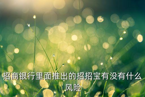 低風(fēng)險在線理財公司,中低風(fēng)險的理財最多虧損多少