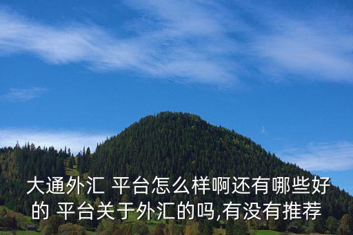  大通外匯 平臺(tái)怎么樣啊還有哪些好的 平臺(tái)關(guān)于外匯的嗎,有沒有推薦