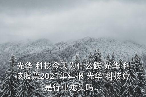  光華 科技今天為什么跌 光華 科技股票2021年年報(bào) 光華 科技算是行業(yè)龍頭嗎...