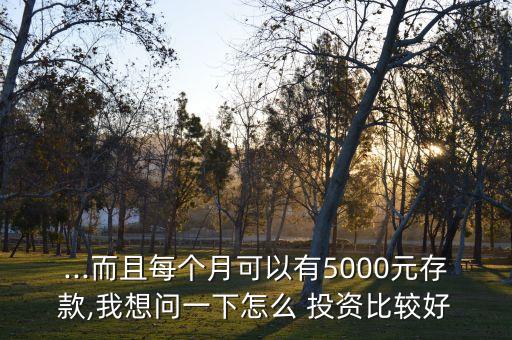 ...而且每個(gè)月可以有5000元存款,我想問一下怎么 投資比較好